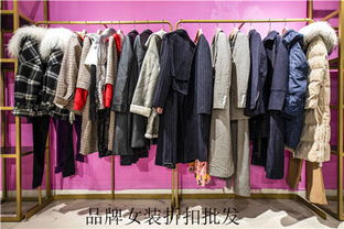 2019蒂言女装羽绒服 品质货源与品牌批发新选择